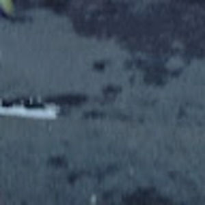 Meet your Posher, Bob